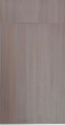 Laminam Grey door